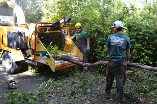 tree services Heathrow